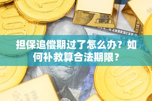 济南担保追偿期过了怎么办？如何补救算合法期限？