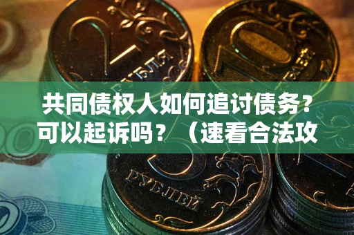 济南共同债权人如何追讨债务？可以起诉吗？（速看合法攻略）