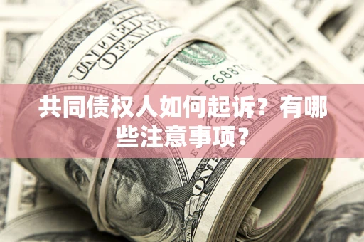 济南共同债权人如何起诉？有哪些注意事项？